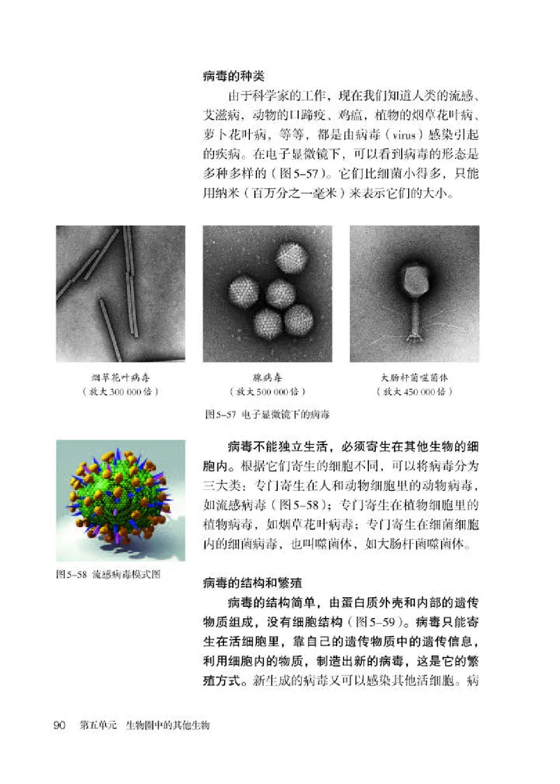 人教版8年级生物上册高清教材_4-教培资料-26年最新资料-同步更新_初中高中教资_03科三专项（进去保存报考的学科即可）_02科三专项（笔记真题思维导图教学设计版本二）