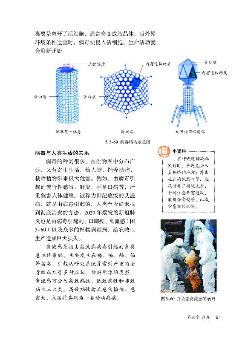 人教版8年级生物上册高清教材_4-教培资料-26年最新资料-同步更新_初中高中教资_03科三专项（进去保存报考的学科即可）_02科三专项（笔记真题思维导图教学设计版本二）