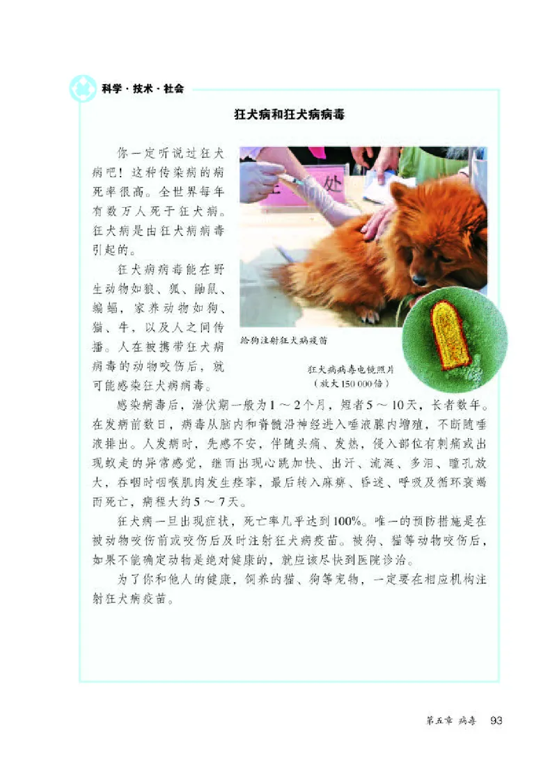 人教版8年级生物上册高清教材_4-教培资料-26年最新资料-同步更新_初中高中教资_03科三专项（进去保存报考的学科即可）_02科三专项（笔记真题思维导图教学设计版本二）