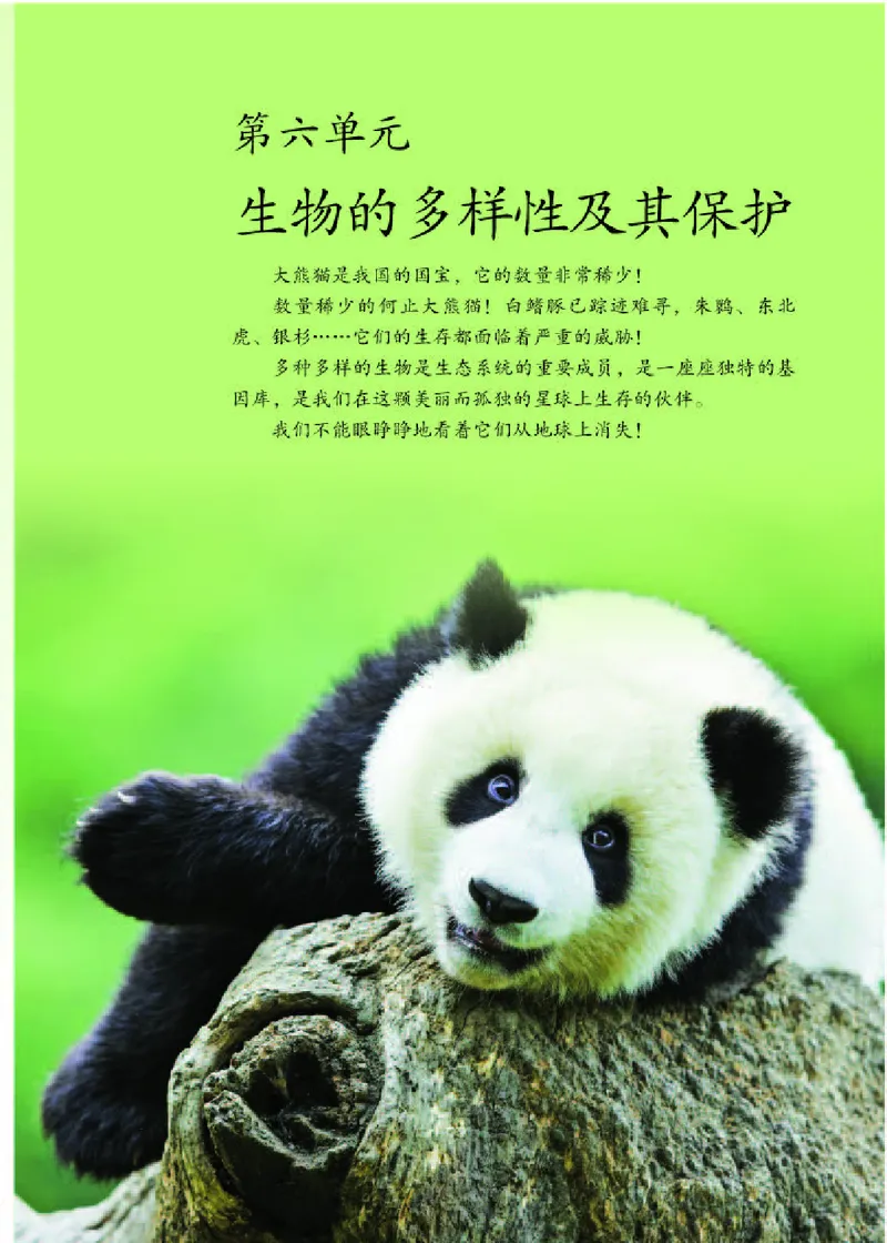 人教版8年级生物上册高清教材_4-教培资料-26年最新资料-同步更新_初中高中教资_03科三专项（进去保存报考的学科即可）_02科三专项（笔记真题思维导图教学设计版本二）