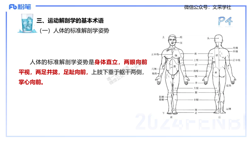 25上理论精讲&mdash;运动解剖学1-陈晶晶_4-教培资料-26年最新资料-同步更新_初中高中教资_03科三专项（进去保存报考的学科即可）_初中_初中体育-通关资料包_3.课程FB系统班课程