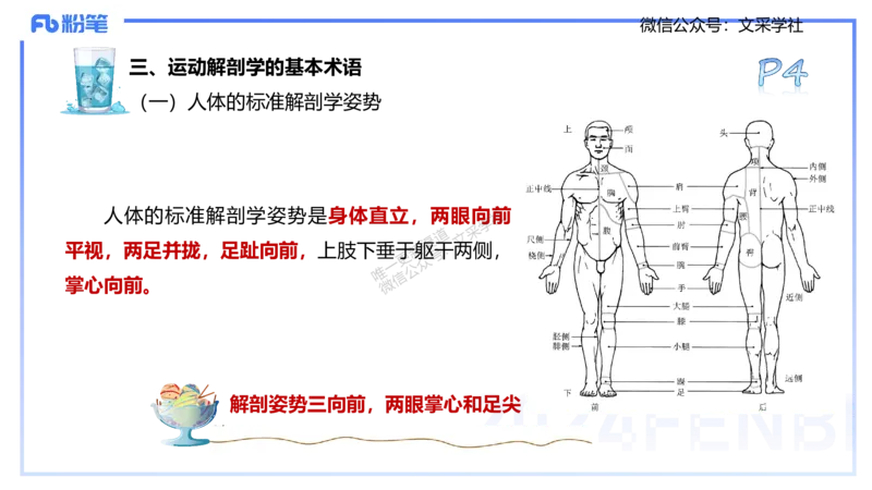 25上理论精讲&mdash;运动解剖学1-陈晶晶_4-教培资料-26年最新资料-同步更新_初中高中教资_03科三专项（进去保存报考的学科即可）_初中_初中体育-通关资料包_3.课程FB系统班课程