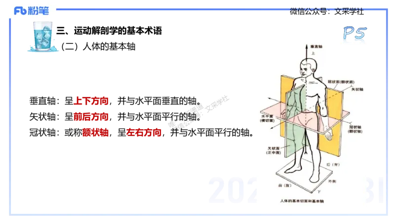 25上理论精讲&mdash;运动解剖学1-陈晶晶_4-教培资料-26年最新资料-同步更新_初中高中教资_03科三专项（进去保存报考的学科即可）_初中_初中体育-通关资料包_3.课程FB系统班课程