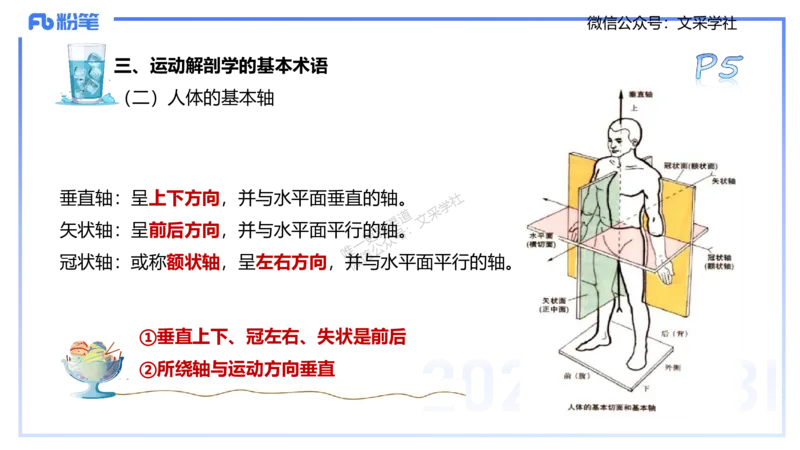 25上理论精讲&mdash;运动解剖学1-陈晶晶_4-教培资料-26年最新资料-同步更新_初中高中教资_03科三专项（进去保存报考的学科即可）_初中_初中体育-通关资料包_3.课程FB系统班课程