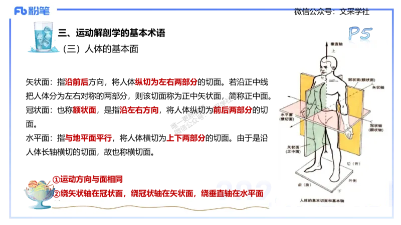 25上理论精讲&mdash;运动解剖学1-陈晶晶_4-教培资料-26年最新资料-同步更新_初中高中教资_03科三专项（进去保存报考的学科即可）_初中_初中体育-通关资料包_3.课程FB系统班课程