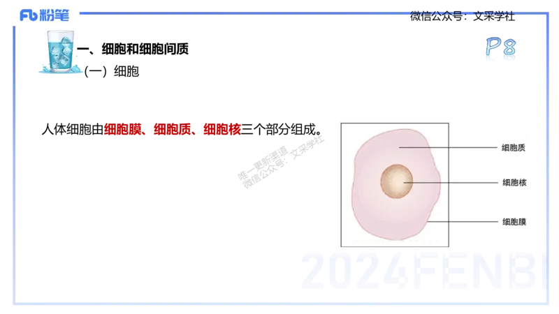 25上理论精讲&mdash;运动解剖学1-陈晶晶_4-教培资料-26年最新资料-同步更新_初中高中教资_03科三专项（进去保存报考的学科即可）_初中_初中体育-通关资料包_3.课程FB系统班课程