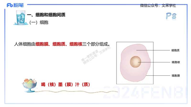25上理论精讲&mdash;运动解剖学1-陈晶晶_4-教培资料-26年最新资料-同步更新_初中高中教资_03科三专项（进去保存报考的学科即可）_初中_初中体育-通关资料包_3.课程FB系统班课程