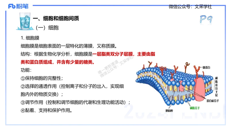 25上理论精讲&mdash;运动解剖学1-陈晶晶_4-教培资料-26年最新资料-同步更新_初中高中教资_03科三专项（进去保存报考的学科即可）_初中_初中体育-通关资料包_3.课程FB系统班课程