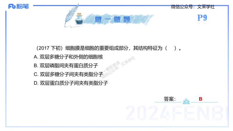 25上理论精讲&mdash;运动解剖学1-陈晶晶_4-教培资料-26年最新资料-同步更新_初中高中教资_03科三专项（进去保存报考的学科即可）_初中_初中体育-通关资料包_3.课程FB系统班课程