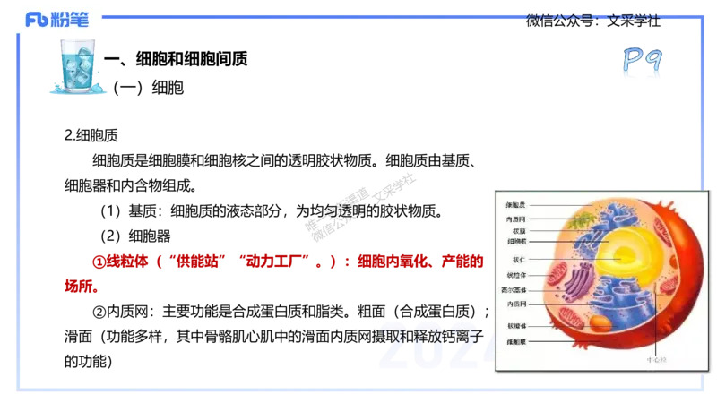 25上理论精讲&mdash;运动解剖学1-陈晶晶_4-教培资料-26年最新资料-同步更新_初中高中教资_03科三专项（进去保存报考的学科即可）_初中_初中体育-通关资料包_3.课程FB系统班课程