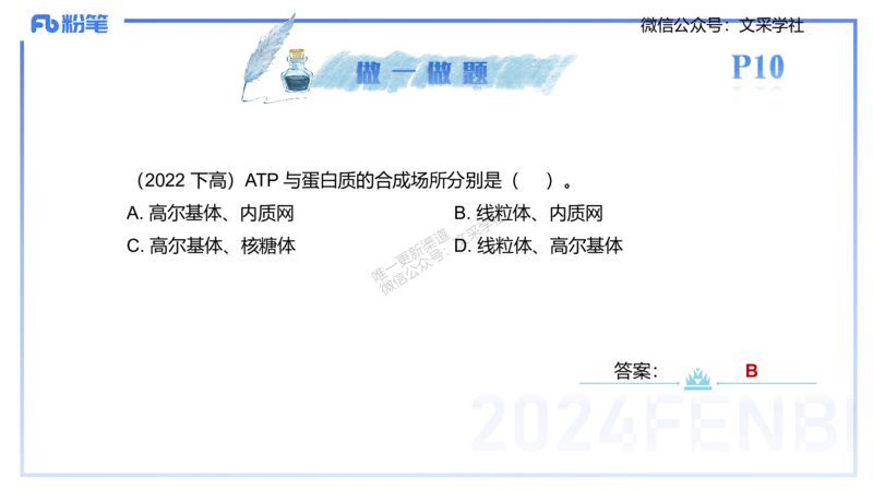 25上理论精讲&mdash;运动解剖学1-陈晶晶_4-教培资料-26年最新资料-同步更新_初中高中教资_03科三专项（进去保存报考的学科即可）_初中_初中体育-通关资料包_3.课程FB系统班课程