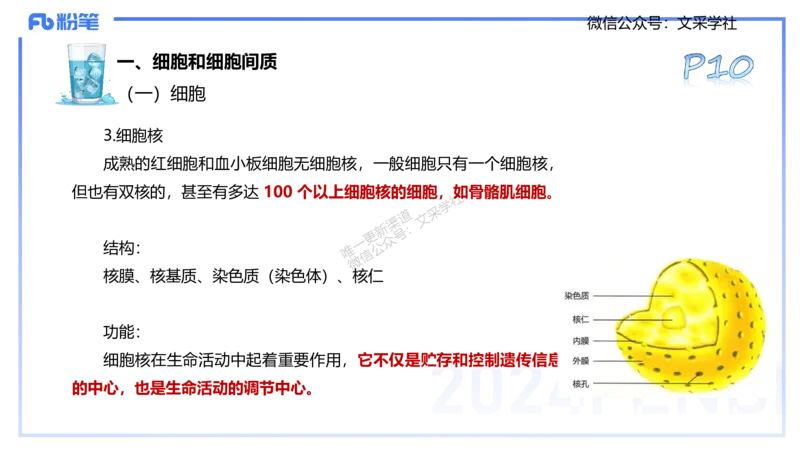 25上理论精讲&mdash;运动解剖学1-陈晶晶_4-教培资料-26年最新资料-同步更新_初中高中教资_03科三专项（进去保存报考的学科即可）_初中_初中体育-通关资料包_3.课程FB系统班课程
