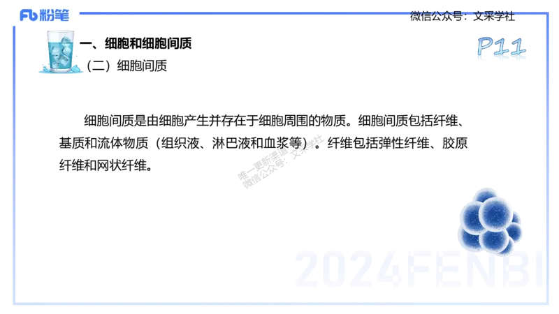 25上理论精讲&mdash;运动解剖学1-陈晶晶_4-教培资料-26年最新资料-同步更新_初中高中教资_03科三专项（进去保存报考的学科即可）_初中_初中体育-通关资料包_3.课程FB系统班课程