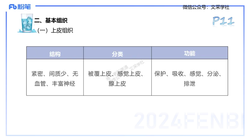 25上理论精讲&mdash;运动解剖学1-陈晶晶_4-教培资料-26年最新资料-同步更新_初中高中教资_03科三专项（进去保存报考的学科即可）_初中_初中体育-通关资料包_3.课程FB系统班课程