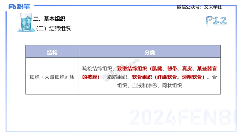 25上理论精讲&mdash;运动解剖学1-陈晶晶_4-教培资料-26年最新资料-同步更新_初中高中教资_03科三专项（进去保存报考的学科即可）_初中_初中体育-通关资料包_3.课程FB系统班课程