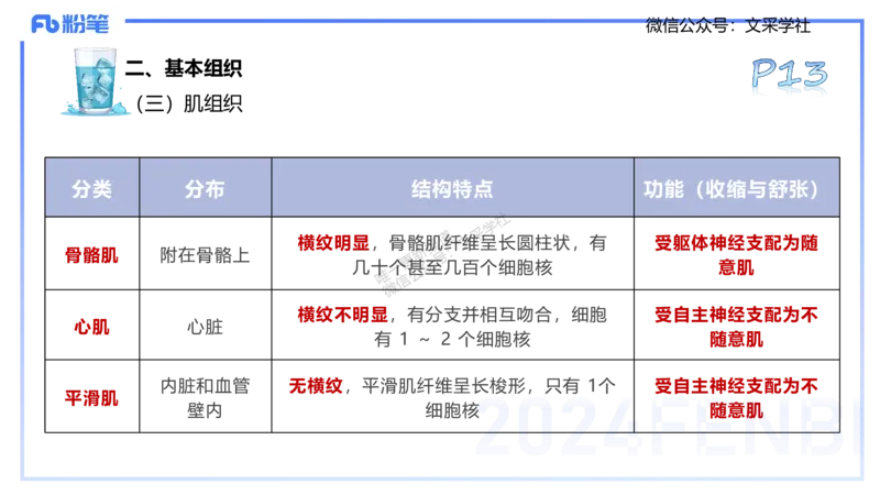 25上理论精讲&mdash;运动解剖学1-陈晶晶_4-教培资料-26年最新资料-同步更新_初中高中教资_03科三专项（进去保存报考的学科即可）_初中_初中体育-通关资料包_3.课程FB系统班课程