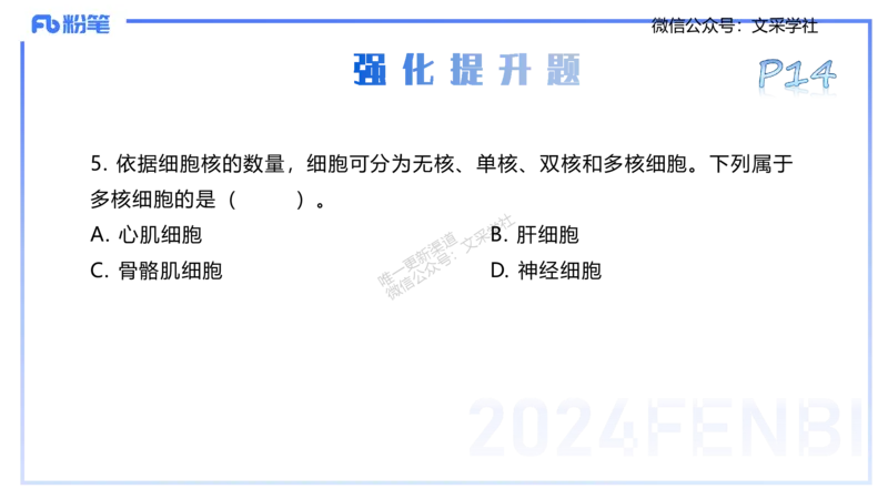 25上理论精讲&mdash;运动解剖学1-陈晶晶_4-教培资料-26年最新资料-同步更新_初中高中教资_03科三专项（进去保存报考的学科即可）_初中_初中体育-通关资料包_3.课程FB系统班课程