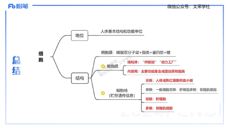 25上理论精讲&mdash;运动解剖学1-陈晶晶_4-教培资料-26年最新资料-同步更新_初中高中教资_03科三专项（进去保存报考的学科即可）_初中_初中体育-通关资料包_3.课程FB系统班课程