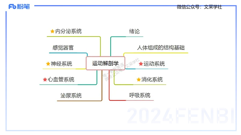 25上理论精讲&mdash;运动解剖学1-陈晶晶_4-教培资料-26年最新资料-同步更新_初中高中教资_03科三专项（进去保存报考的学科即可）_初中_初中体育-通关资料包_3.课程FB系统班课程