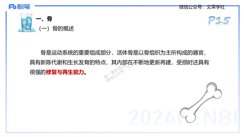25上理论精讲&mdash;运动解剖学1-陈晶晶_4-教培资料-26年最新资料-同步更新_初中高中教资_03科三专项（进去保存报考的学科即可）_初中_初中体育-通关资料包_3.课程FB系统班课程