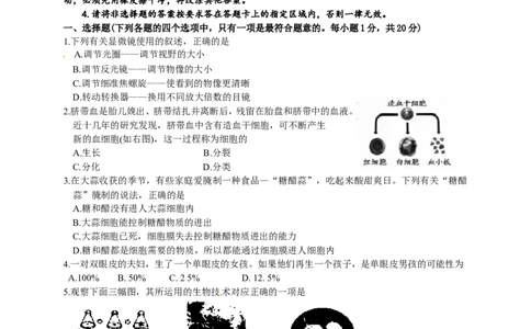 2014年德州市中考生物试题及答案_中考真题_8.生物中考真题2015-2024年_地区卷_山东省_山东德州生物11-20