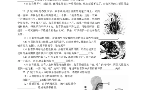 2014年德州市中考生物试题及答案_中考真题_8.生物中考真题2015-2024年_地区卷_山东省_山东德州生物11-20
