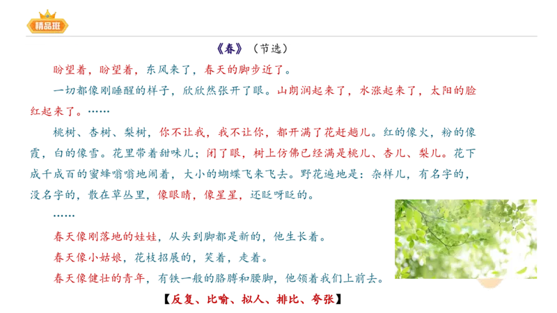 24下-教资系统班-中外文学9-毕小象_4-教培资料-26年最新资料-同步更新_初中高中教资_03科三专项（进去保存报考的学科即可）_01科目三FB网课、三色速记手册、知识点导图等推荐