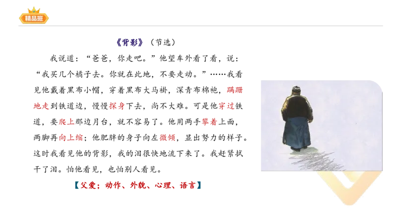 24下-教资系统班-中外文学9-毕小象_4-教培资料-26年最新资料-同步更新_初中高中教资_03科三专项（进去保存报考的学科即可）_01科目三FB网课、三色速记手册、知识点导图等推荐