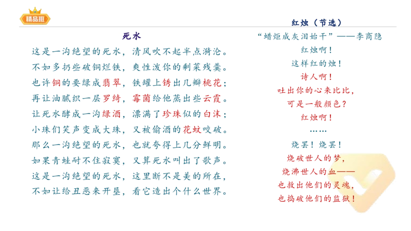 24下-教资系统班-中外文学9-毕小象_4-教培资料-26年最新资料-同步更新_初中高中教资_03科三专项（进去保存报考的学科即可）_01科目三FB网课、三色速记手册、知识点导图等推荐