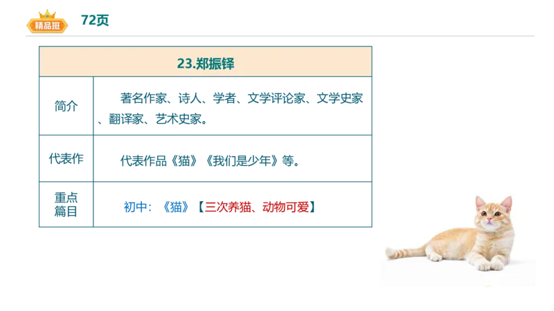 24下-教资系统班-中外文学9-毕小象_4-教培资料-26年最新资料-同步更新_初中高中教资_03科三专项（进去保存报考的学科即可）_01科目三FB网课、三色速记手册、知识点导图等推荐