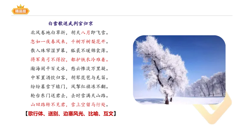 24下-教资系统班-中外文学4-毕小象_4-教培资料-26年最新资料-同步更新_初中高中教资_03科三专项（进去保存报考的学科即可）_01科目三FB网课、三色速记手册、知识点导图等推荐