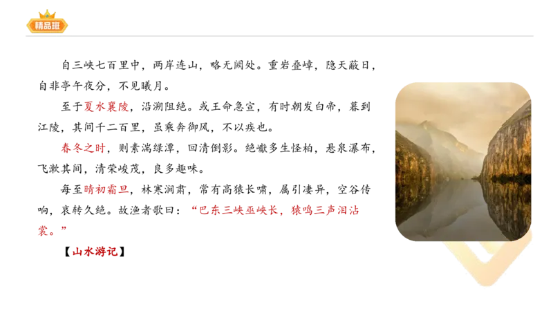 24下-教资系统班-中外文学4-毕小象_4-教培资料-26年最新资料-同步更新_初中高中教资_03科三专项（进去保存报考的学科即可）_01科目三FB网课、三色速记手册、知识点导图等推荐