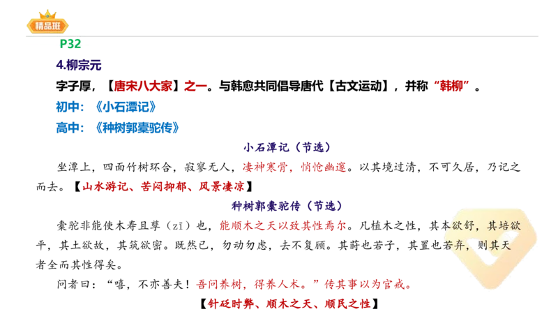 24下-教资系统班-中外文学4-毕小象_4-教培资料-26年最新资料-同步更新_初中高中教资_03科三专项（进去保存报考的学科即可）_01科目三FB网课、三色速记手册、知识点导图等推荐