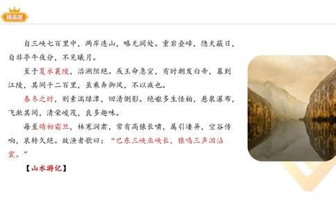 24下-教资系统班-中外文学4-毕小象_4-教培资料-26年最新资料-同步更新_初中高中教资_03科三专项（进去保存报考的学科即可）_01科目三FB网课、三色速记手册、知识点导图等推荐
