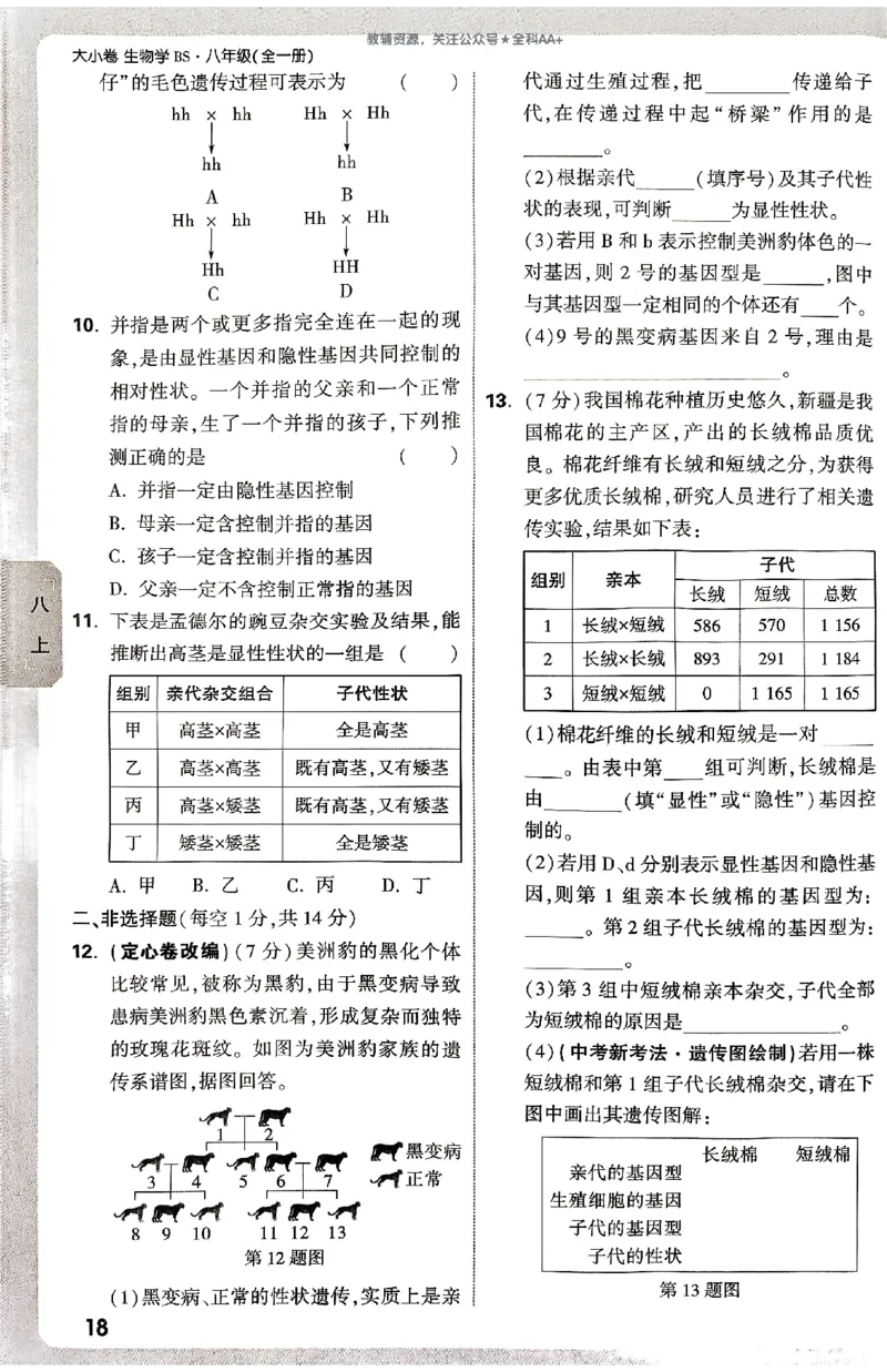 2026《万唯大小卷&bull;生物》8全周测小卷(北师)_2026万唯系列预习复习_2026版初中《万唯大小卷》8年级上册（全科多版本）_2026《万唯大小卷&bull;生物》8全(BS)