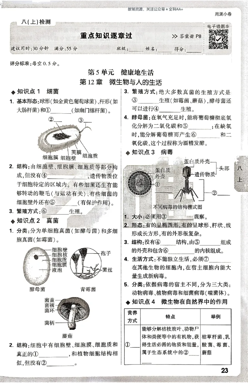 2026《万唯大小卷&bull;生物》8全周测小卷(北师)_2026万唯系列预习复习_2026版初中《万唯大小卷》8年级上册（全科多版本）_2026《万唯大小卷&bull;生物》8全(BS)