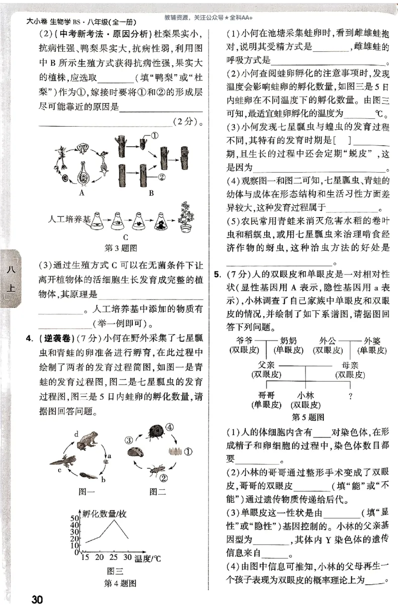 2026《万唯大小卷&bull;生物》8全周测小卷(北师)_2026万唯系列预习复习_2026版初中《万唯大小卷》8年级上册（全科多版本）_2026《万唯大小卷&bull;生物》8全(BS)