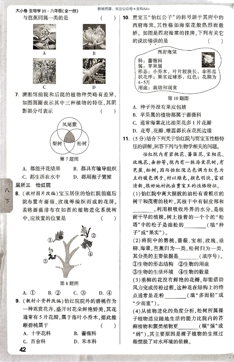 2026《万唯大小卷&bull;生物》8全周测小卷(北师)_2026万唯系列预习复习_2026版初中《万唯大小卷》8年级上册（全科多版本）_2026《万唯大小卷&bull;生物》8全(BS)