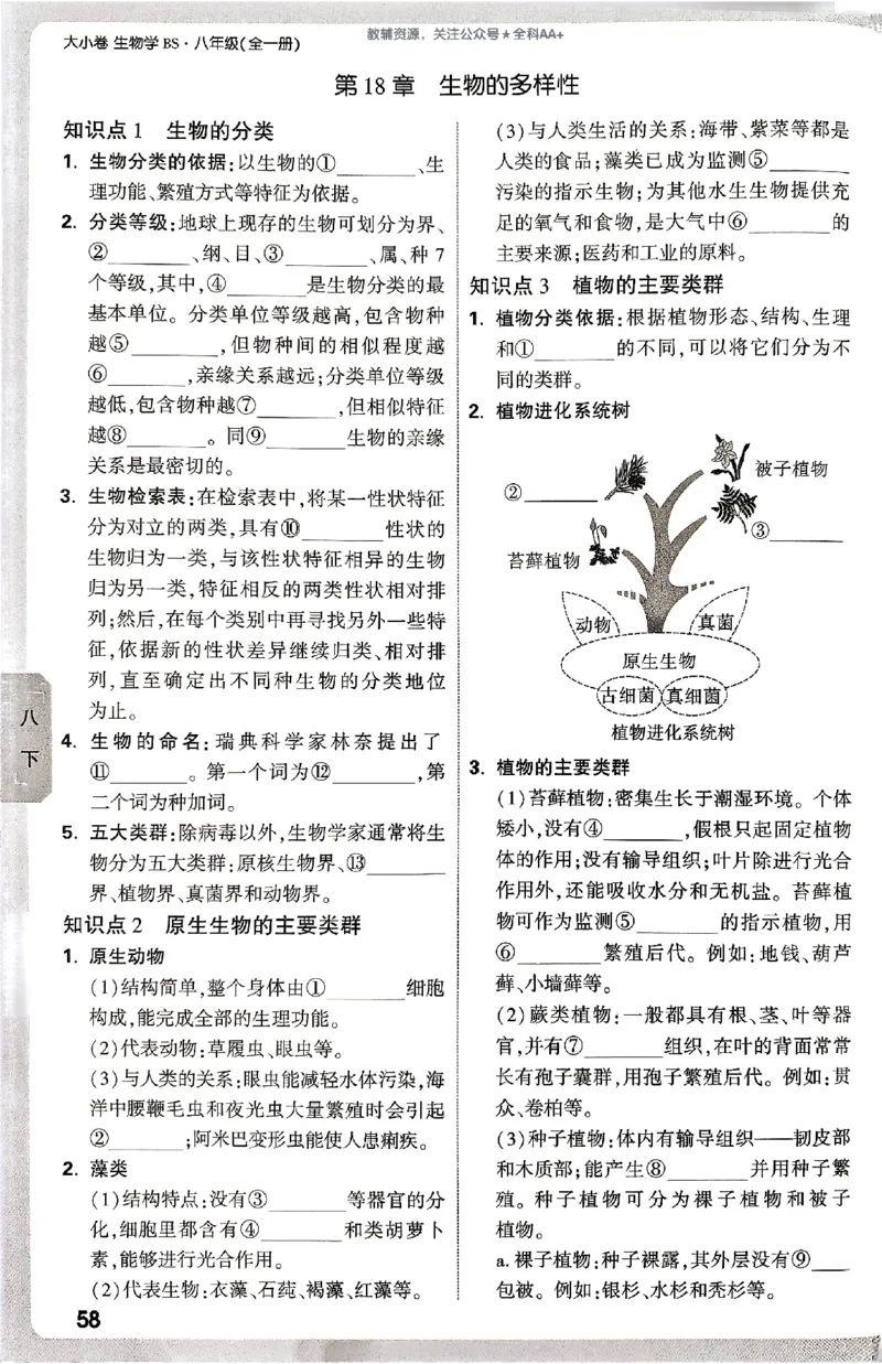 2026《万唯大小卷&bull;生物》8全周测小卷(北师)_2026万唯系列预习复习_2026版初中《万唯大小卷》8年级上册（全科多版本）_2026《万唯大小卷&bull;生物》8全(BS)