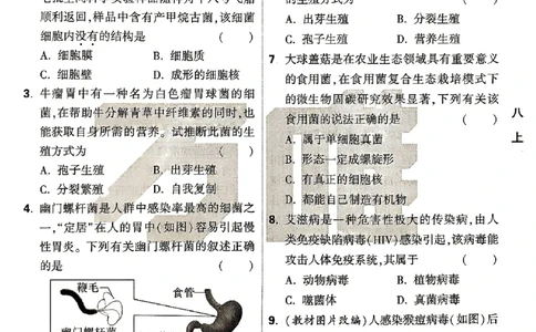 2026《万唯大小卷&bull;生物》8全周测小卷(北师)_2026万唯系列预习复习_2026版初中《万唯大小卷》8年级上册（全科多版本）_2026《万唯大小卷&bull;生物》8全(BS)