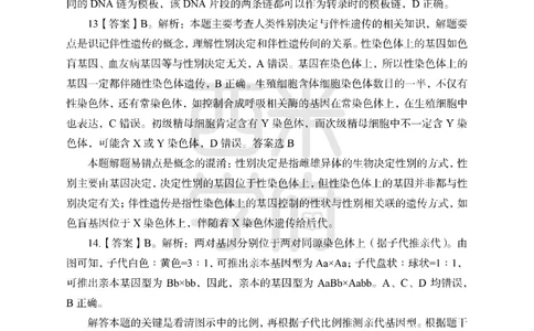 24上-高中笔试科目三《学科知识与教学能力》模拟卷2-高中生物答案解析-模拟预测卷_4-教培资料-26年最新资料-同步更新_初中高中教资_03科三专项（进去保存报考的学科即可）_高中