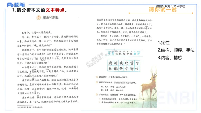 25上主观题突破3-教学设计（语文）-于海亦_4-教培资料-26年最新资料-同步更新_小学教资_022025上FB小学系统班_0225上-教育知识与能力_3.主观题突破_讲义