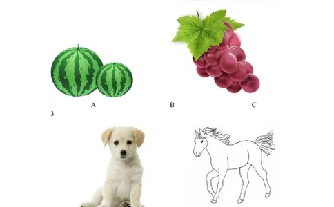 2014年山西省中考英语试题及答案_中考真题_3.英语中考真题2015-2024年_地区卷_山西中考英语2008---2022年（山西省统一试卷）