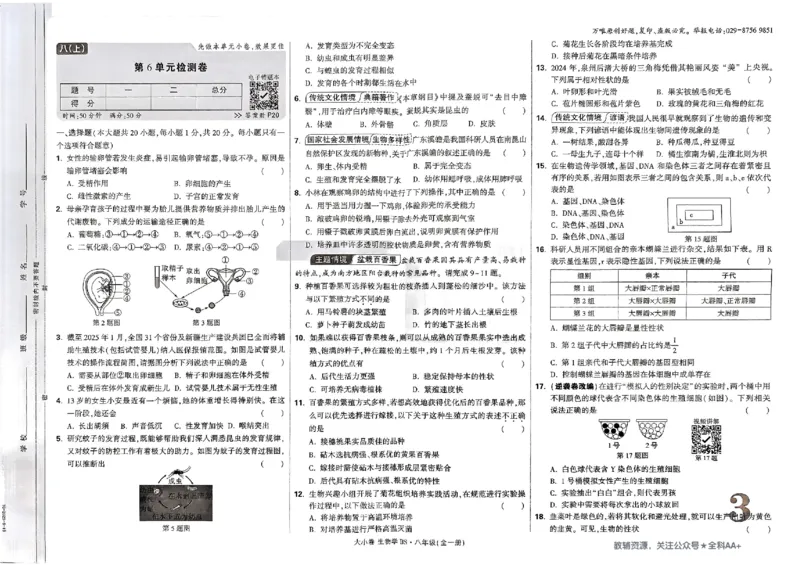 2026《万唯大小卷&bull;生物》8上大卷(北师)_2026万唯系列预习复习_2026版初中《万唯大小卷》8年级上册（全科多版本）_2026《万唯大小卷&bull;生物》8全(BS)