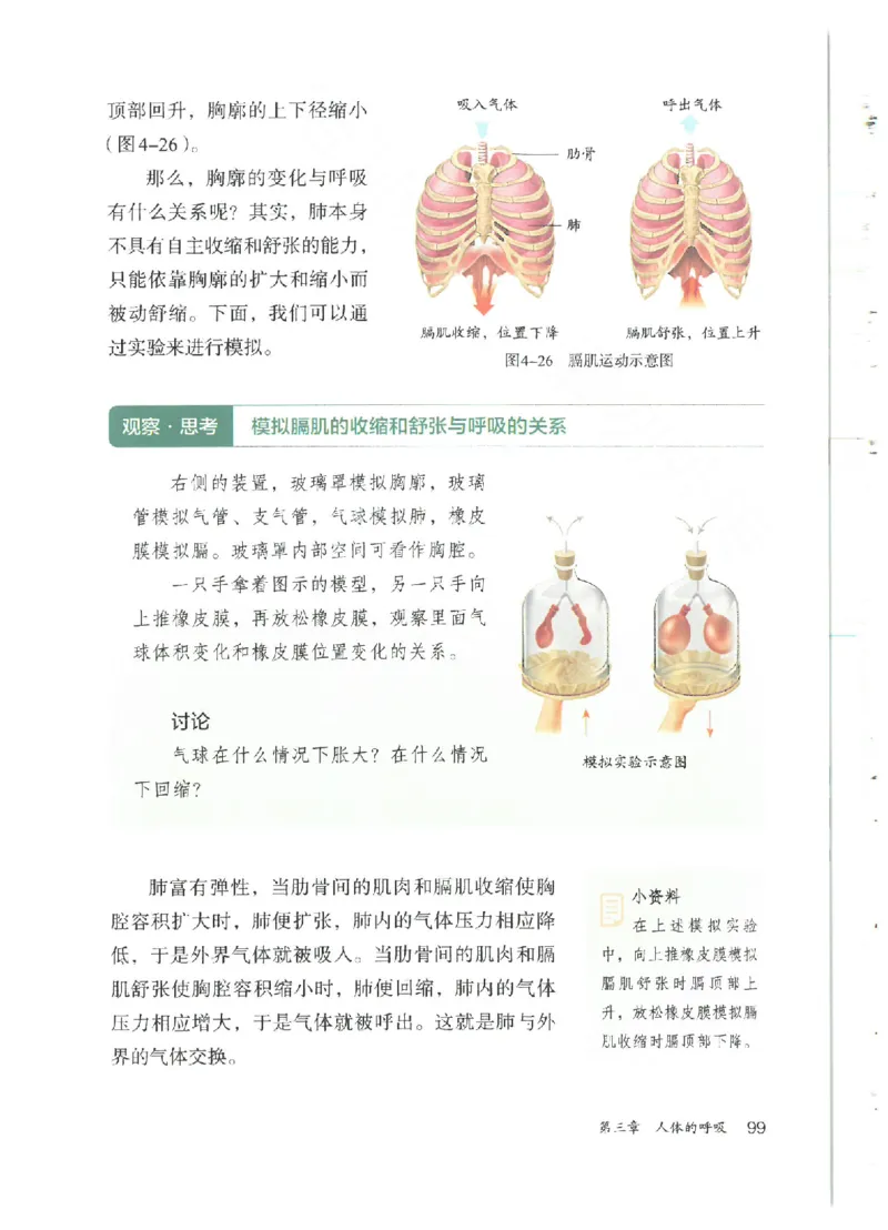 25春-人教版7年级生物下册电子课本_4-教培资料-26年最新资料-同步更新_初中高中教资_03科三专项（进去保存报考的学科即可）_02科三专项（笔记真题思维导图教学设计版本二）