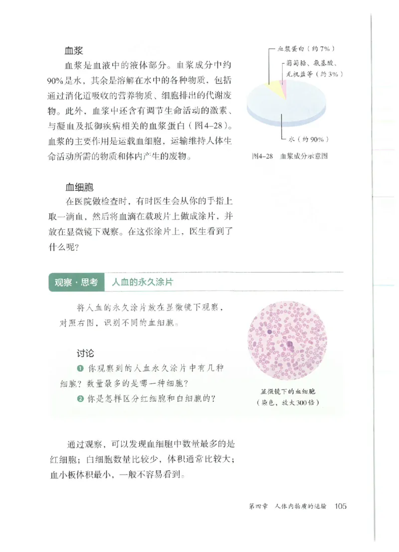 25春-人教版7年级生物下册电子课本_4-教培资料-26年最新资料-同步更新_初中高中教资_03科三专项（进去保存报考的学科即可）_02科三专项（笔记真题思维导图教学设计版本二）
