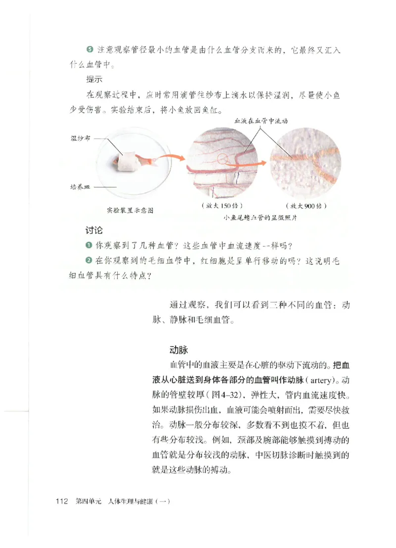 25春-人教版7年级生物下册电子课本_4-教培资料-26年最新资料-同步更新_初中高中教资_03科三专项（进去保存报考的学科即可）_02科三专项（笔记真题思维导图教学设计版本二）
