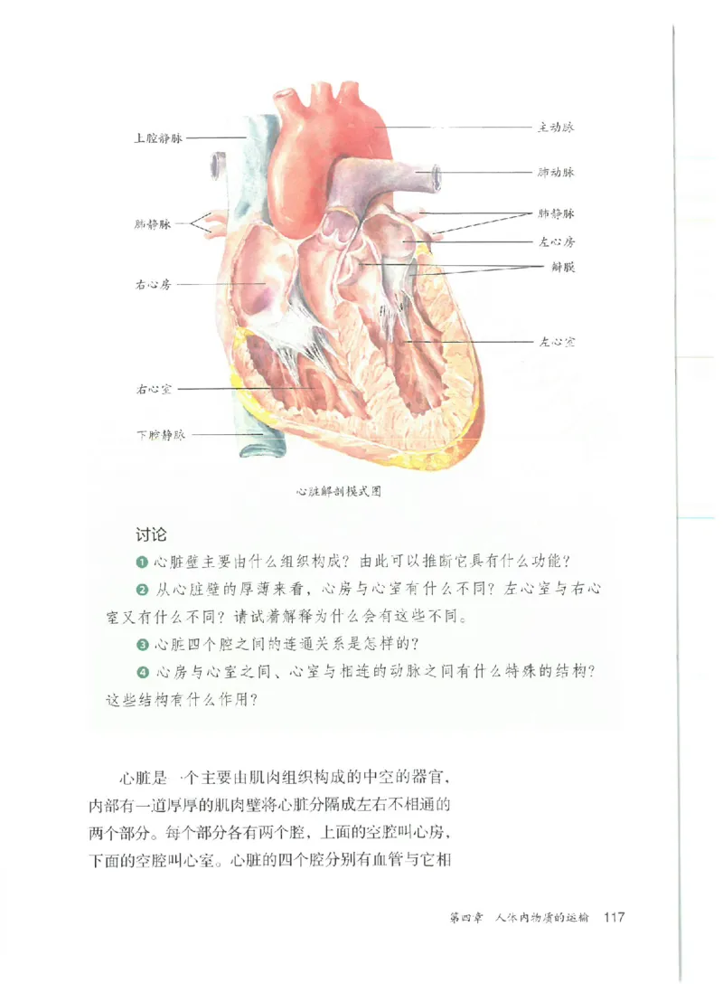 25春-人教版7年级生物下册电子课本_4-教培资料-26年最新资料-同步更新_初中高中教资_03科三专项（进去保存报考的学科即可）_02科三专项（笔记真题思维导图教学设计版本二）