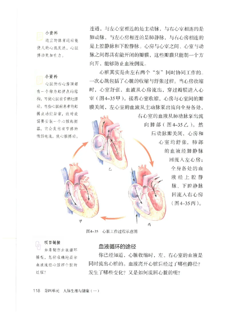 25春-人教版7年级生物下册电子课本_4-教培资料-26年最新资料-同步更新_初中高中教资_03科三专项（进去保存报考的学科即可）_02科三专项（笔记真题思维导图教学设计版本二）