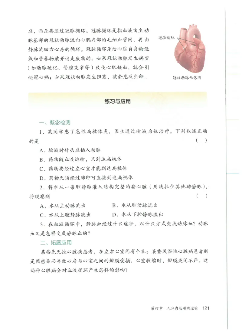 25春-人教版7年级生物下册电子课本_4-教培资料-26年最新资料-同步更新_初中高中教资_03科三专项（进去保存报考的学科即可）_02科三专项（笔记真题思维导图教学设计版本二）